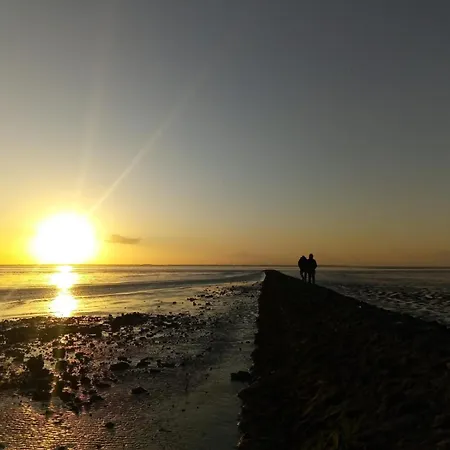 Σπίτι διακοπών Haus Austernfischer