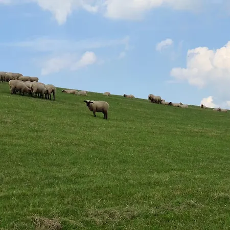 Haus Austernfischer Schweiburg