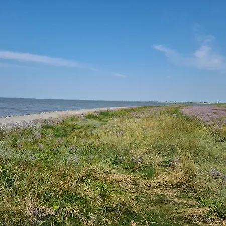 Haus Austernfischer Σπίτι διακοπών *