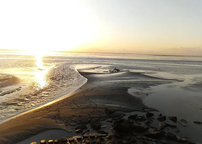 Prázdninový dům Haus Austernfischer *