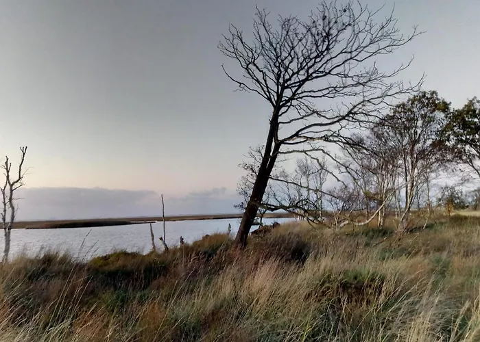 Haus Austernfischer *