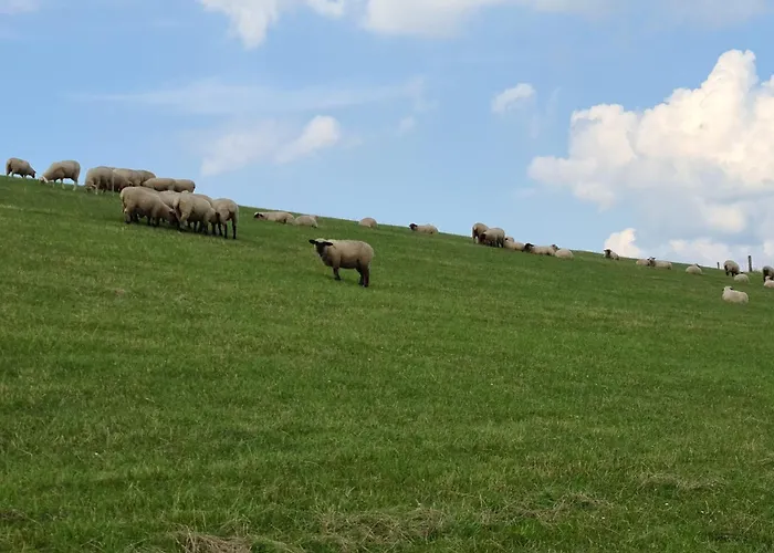 Haus Austernfischer * Schweiburg